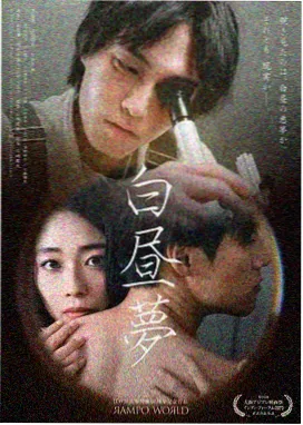 追光的日子电视剧